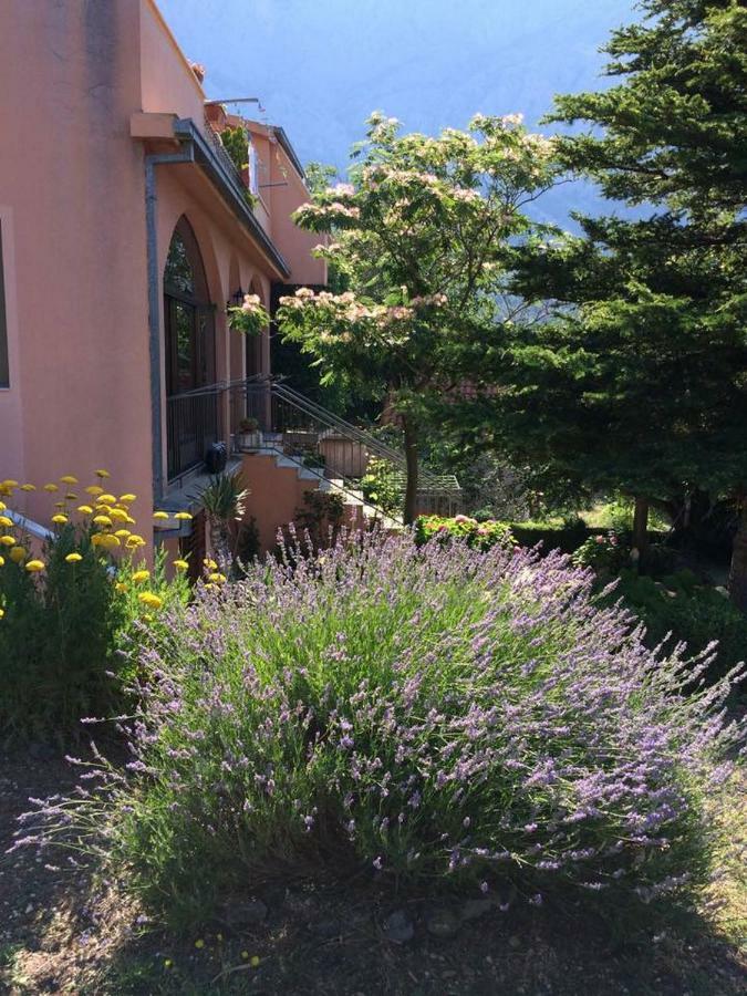 Apartments Bella Vista Makarska Eksteriør billede