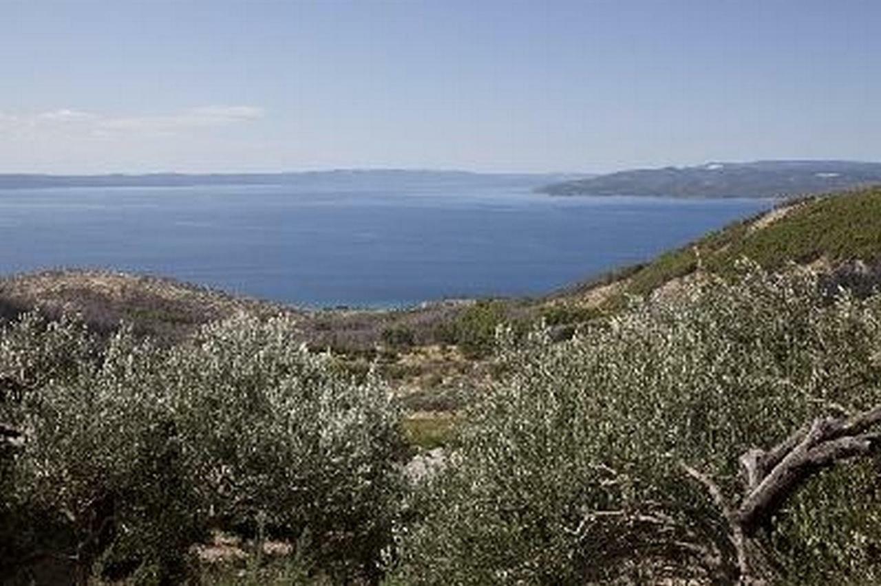 Apartments Bella Vista Makarska Eksteriør billede